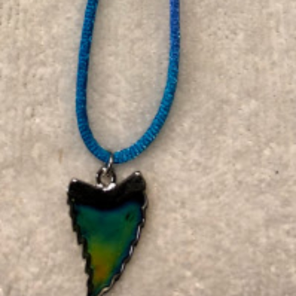 NEW Old Arrowhead Shark Tooth Mood Necklace Color
